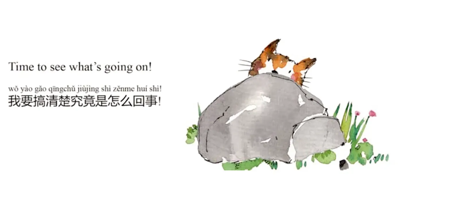 Qixia Yu's Who's in our Garden